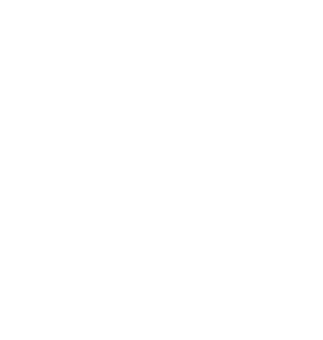 METLIFE 2017